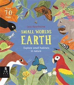 Cover Small Worlds Earth